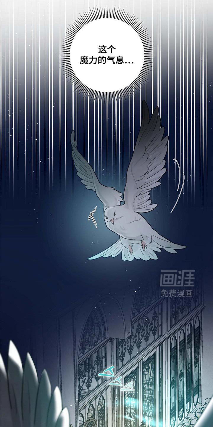 第130章：【第二季】魔力的气息（完结）