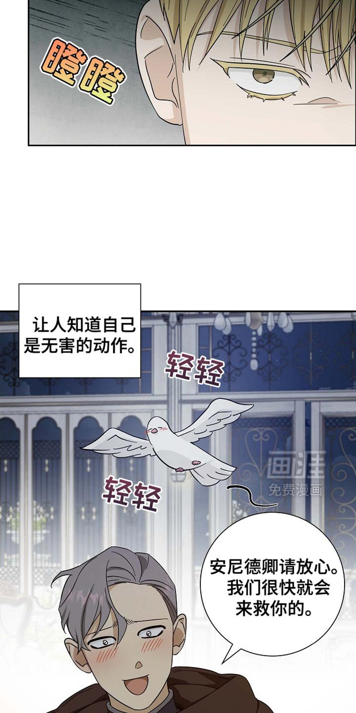 第132章：【第三季】我马上就去救你
