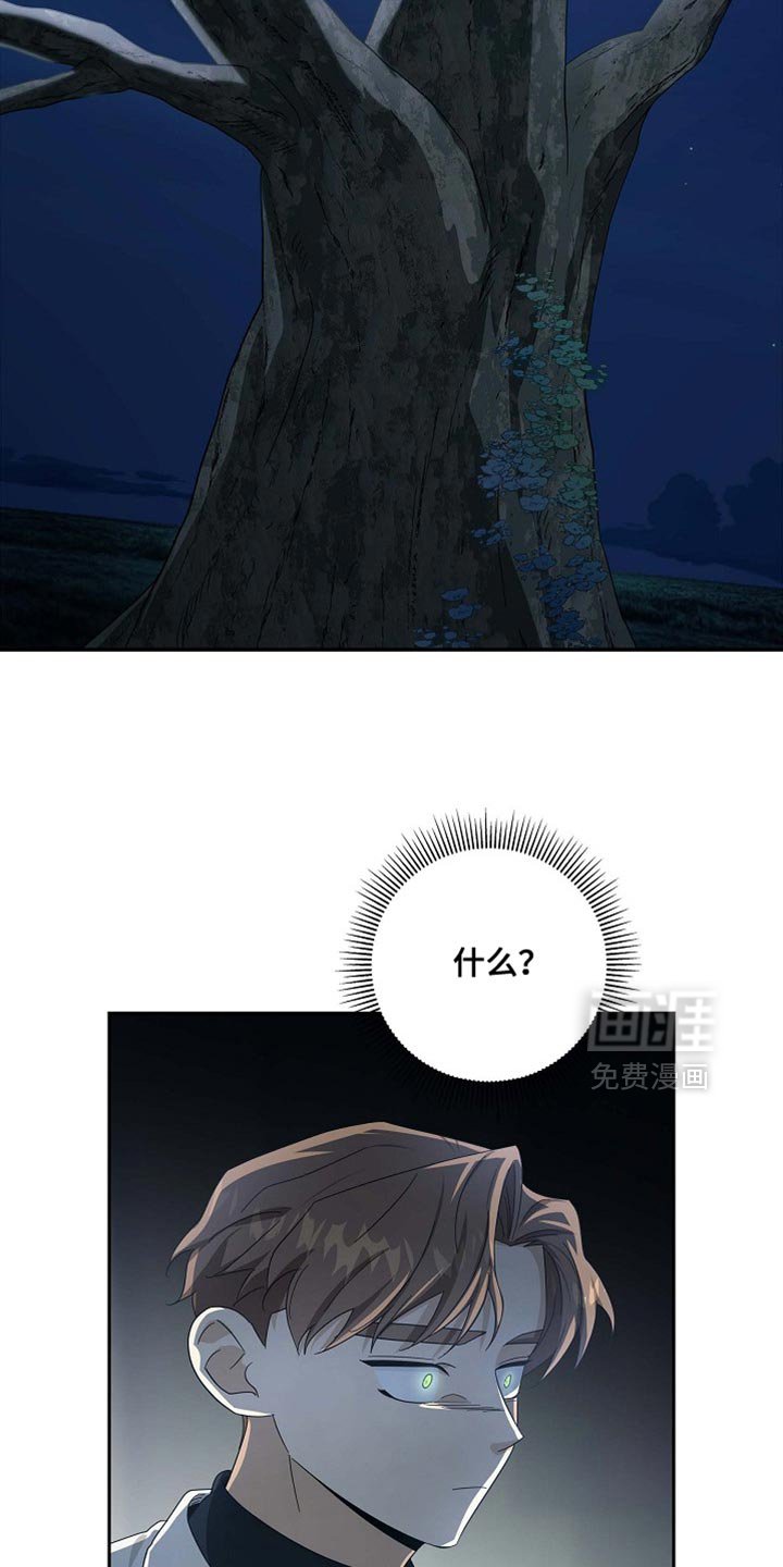 第135章：【第三季】结局终究是悲剧