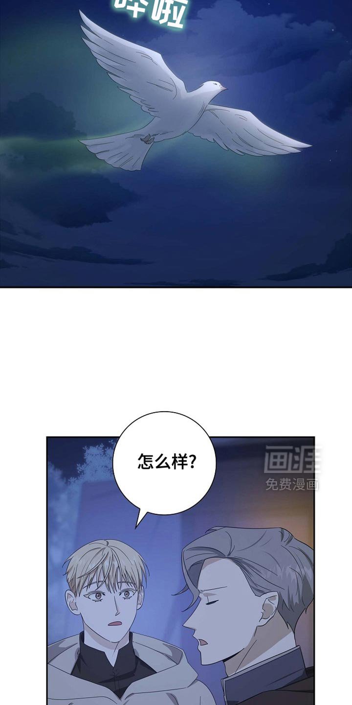 第137章：【第三季】这是怪物