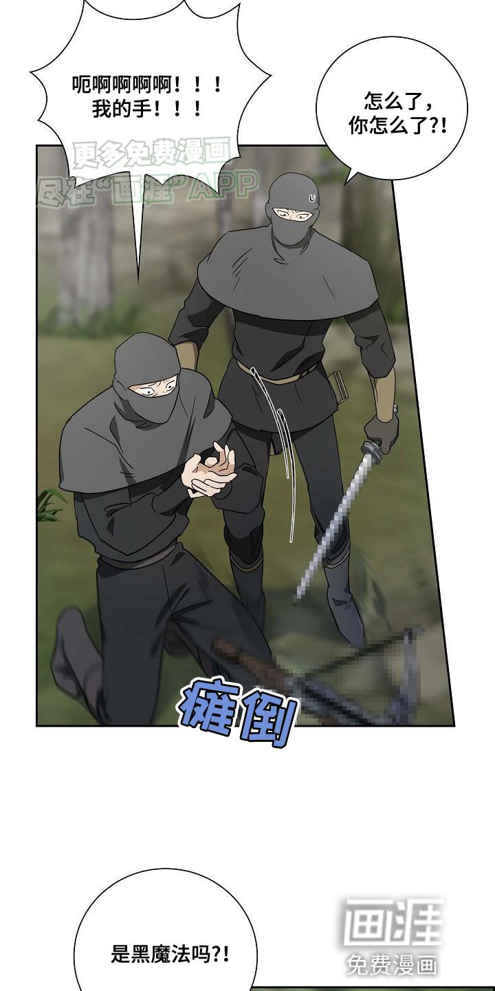 第14章：继续观察