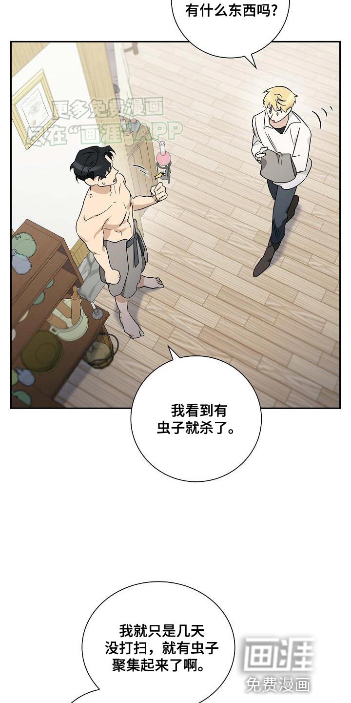 第15章：隐藏身份