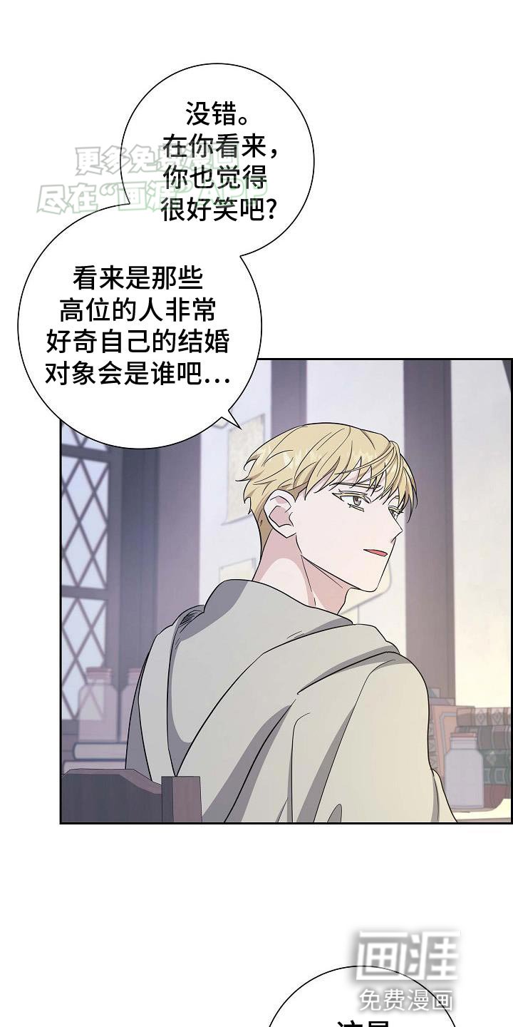 第28章：想试一次