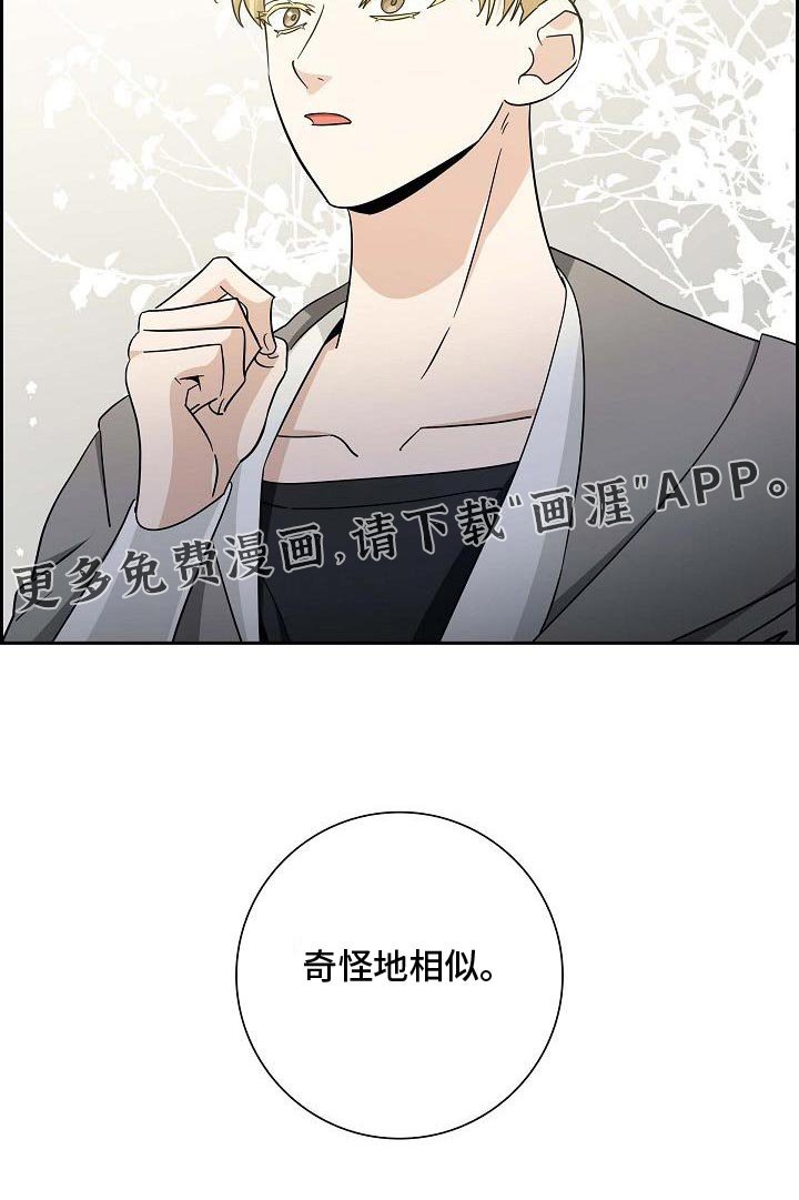 第38章：奇怪地相似