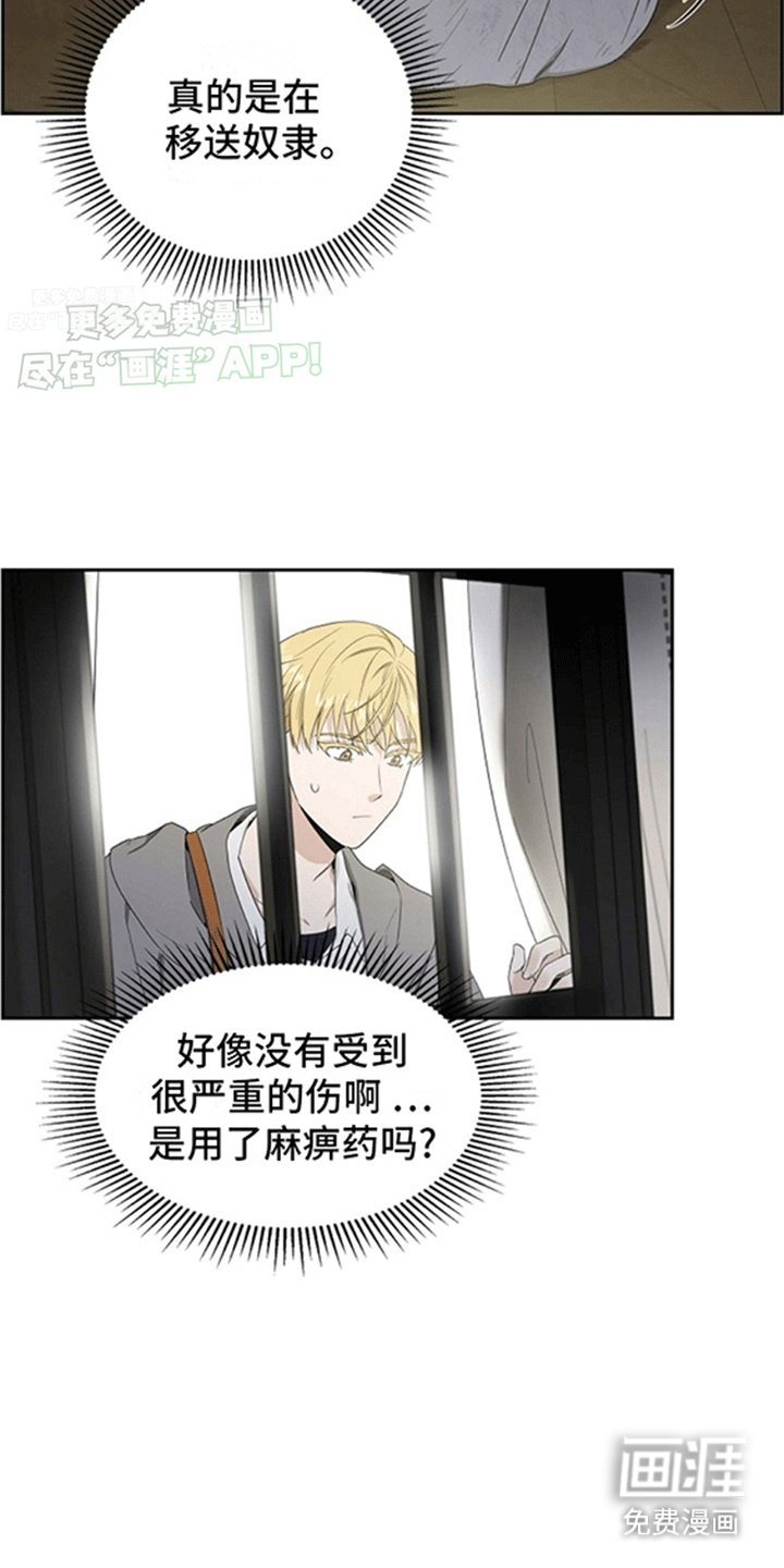 第4章：贵族小孩