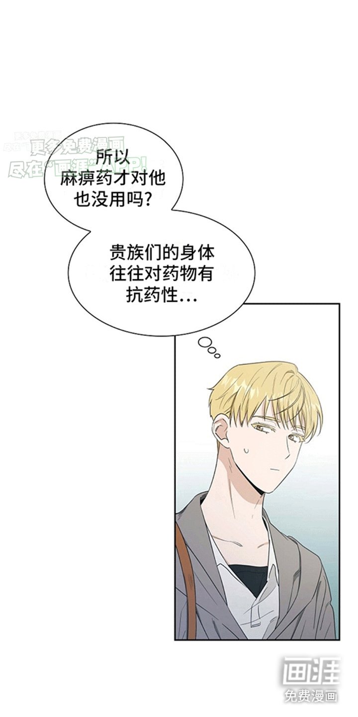 第4章：贵族小孩