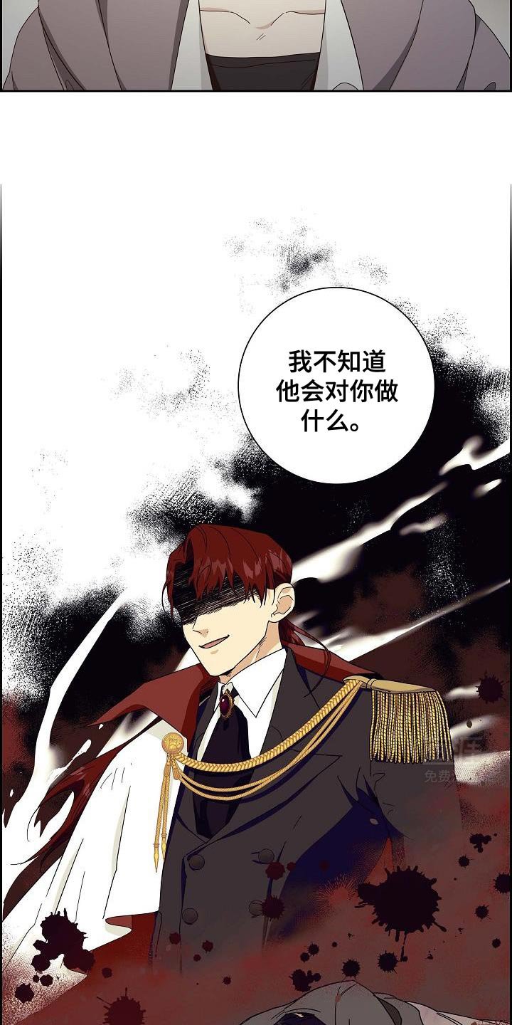 第49章：信鸽