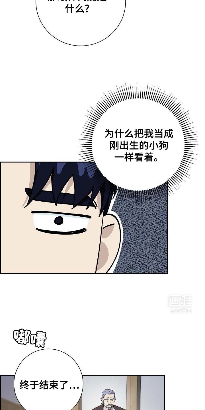 第49章：信鸽