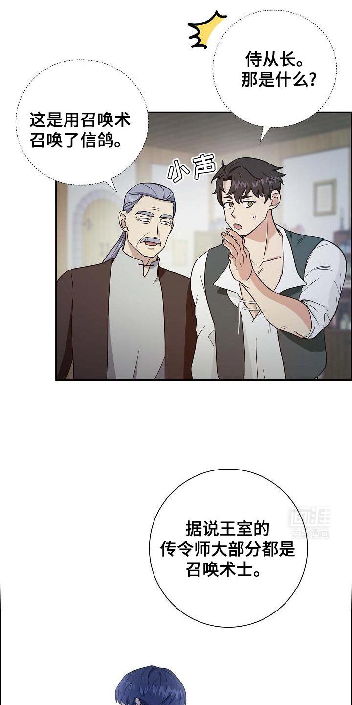 第49章：信鸽