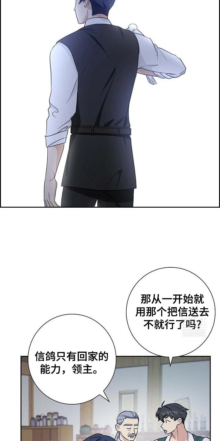 第49章：信鸽