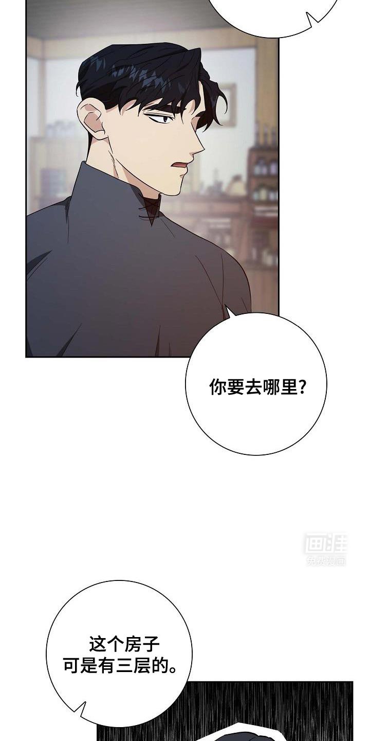 第49章：信鸽