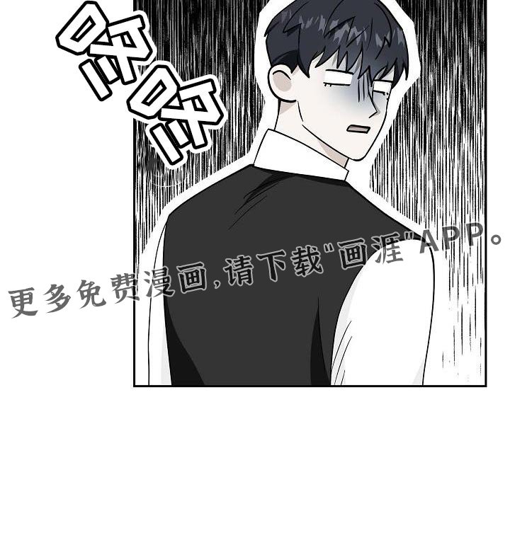 第49章：信鸽