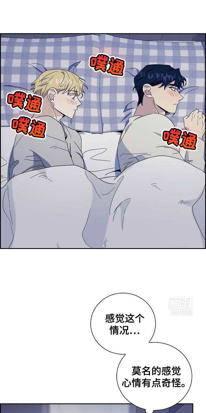 第52章：在说什么