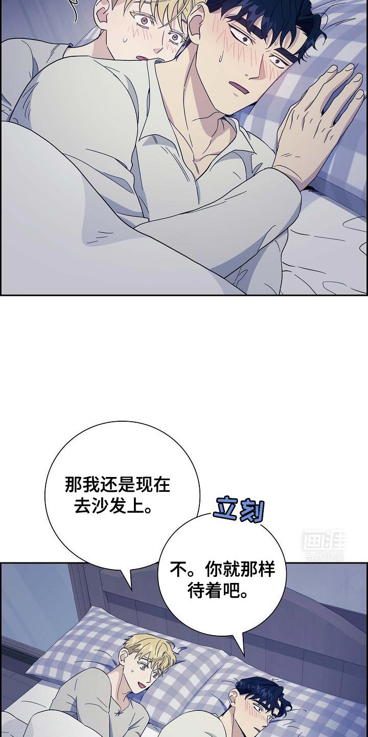 第52章：在说什么