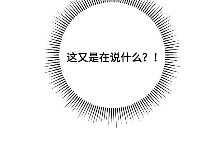第52章：在说什么