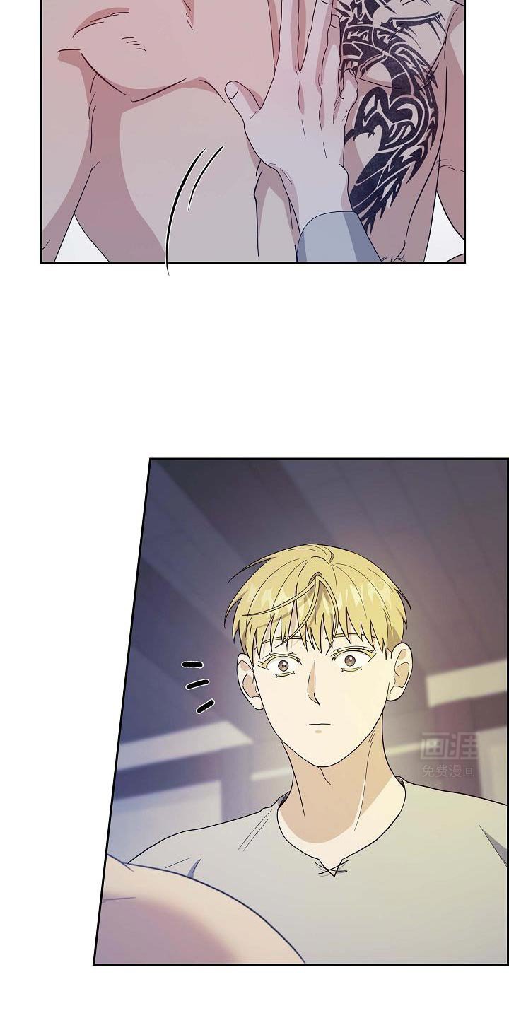 第53章：仔细调查