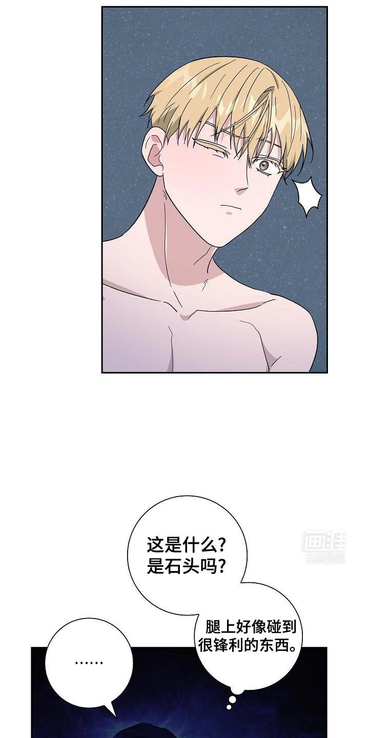 第61章：你的家族