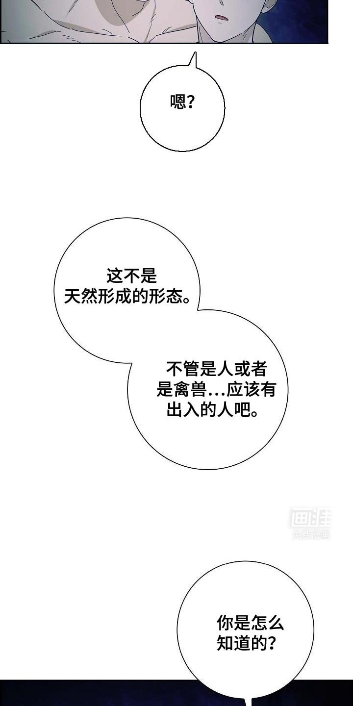 第61章：你的家族