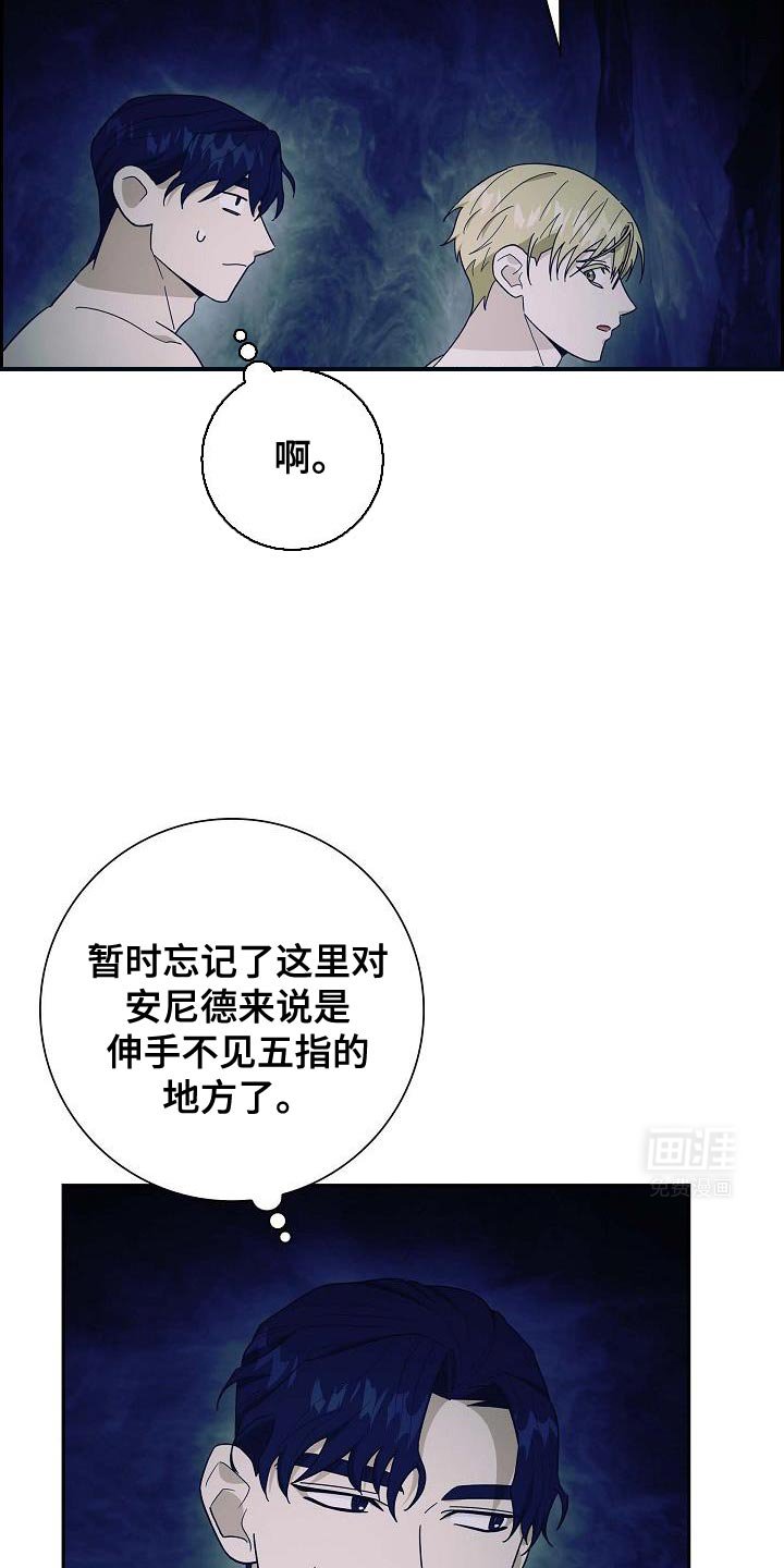第61章：你的家族