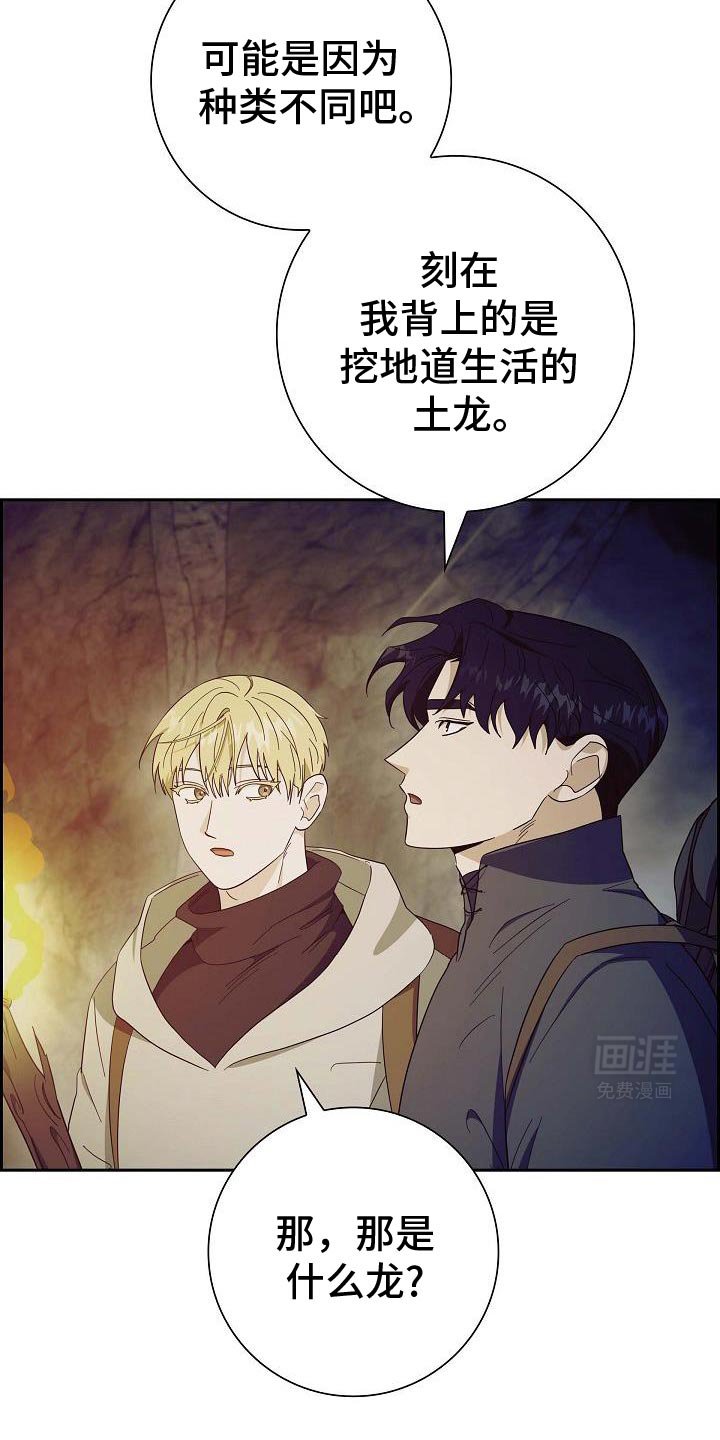 第63章：修龙的巢穴