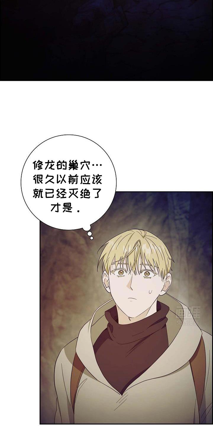 第63章：修龙的巢穴