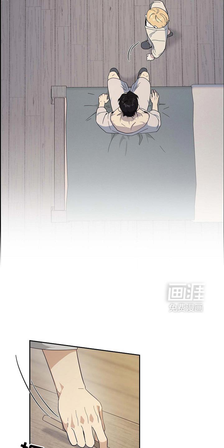 第99章：【第二季】金章的信