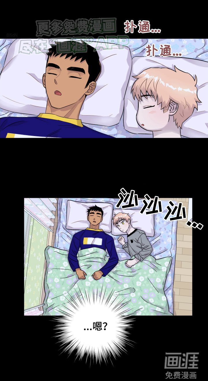 第19章：过夜