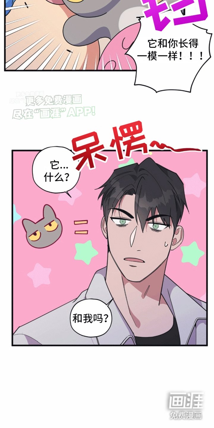 第12章：娃娃