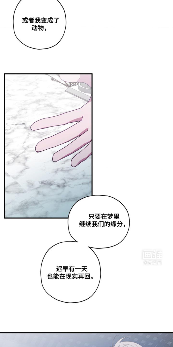 第38章：完美演出