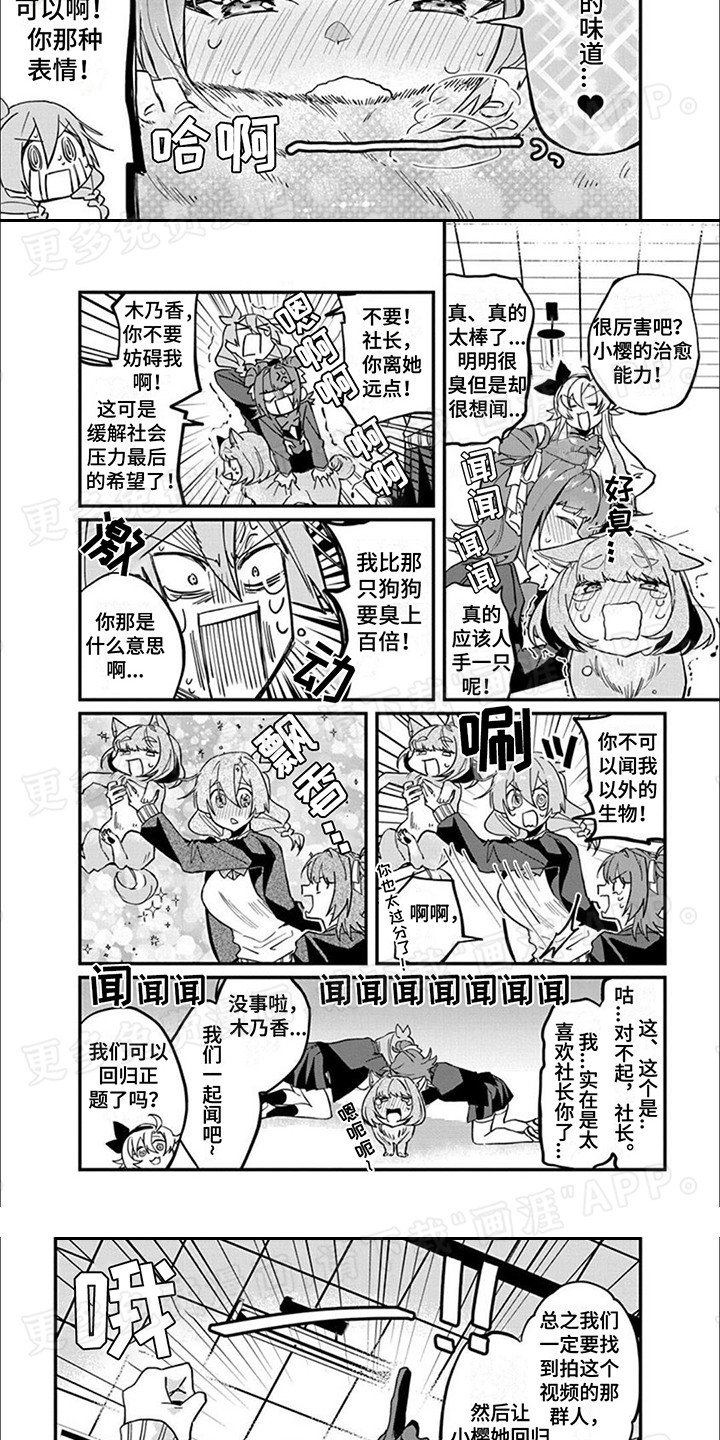 第12章：制定计划