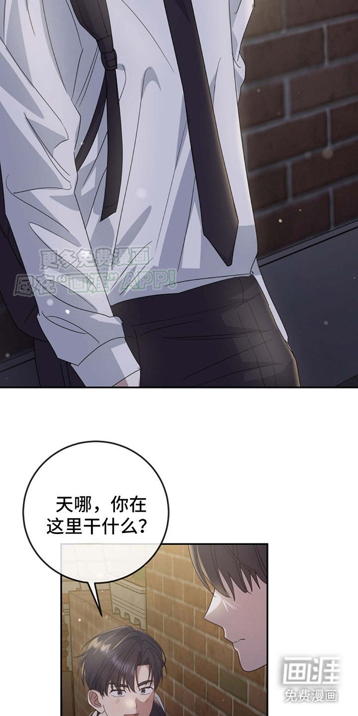第12章：询问