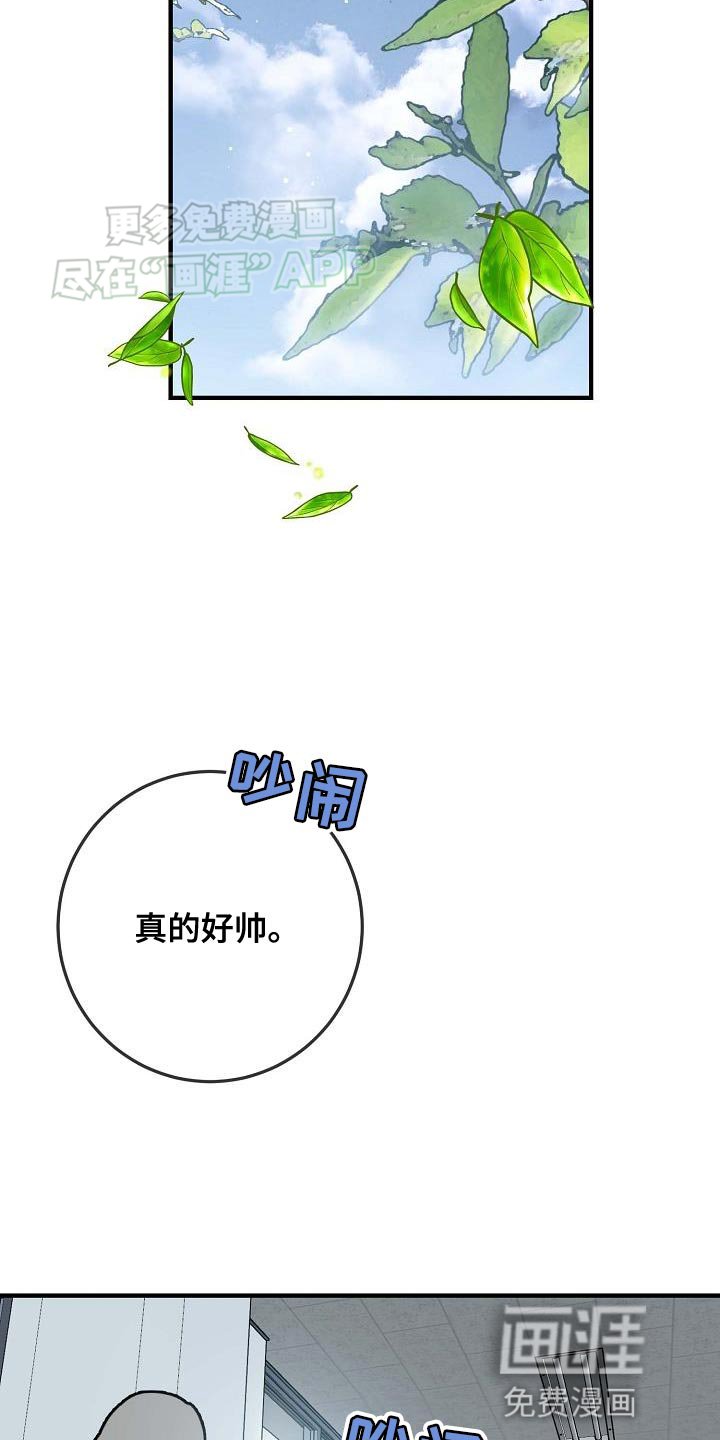 第16章：为什么？