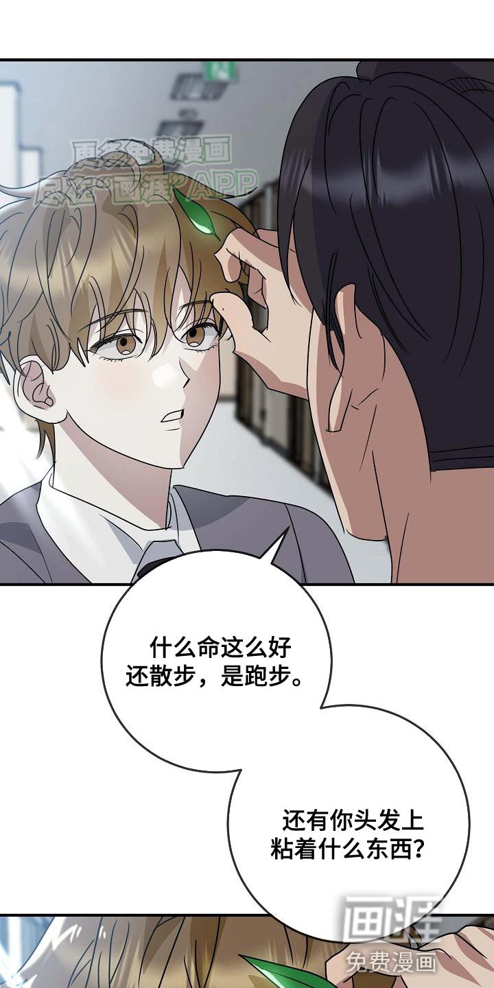 第23章：糖果
