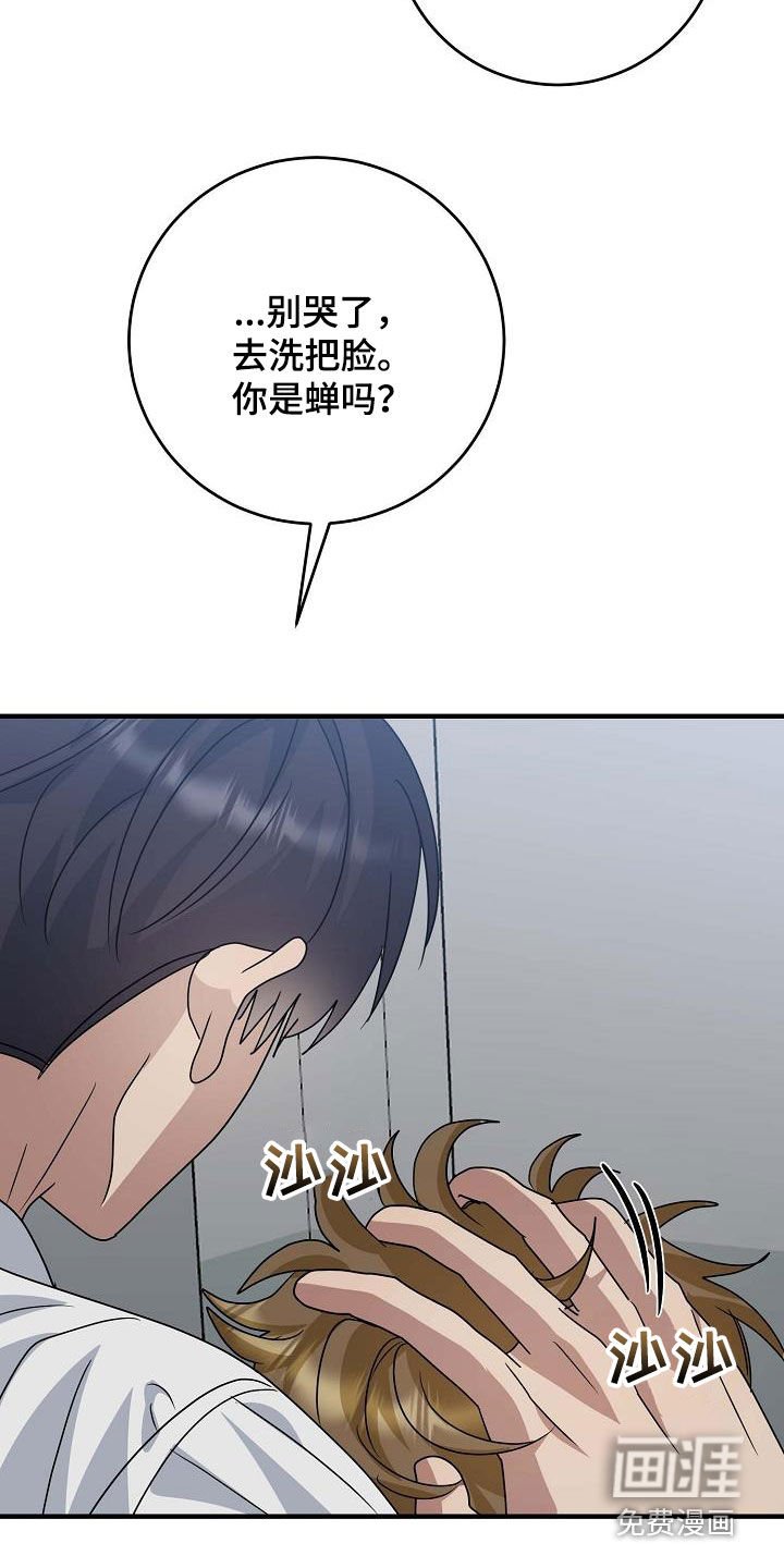 第41章：不要太生气