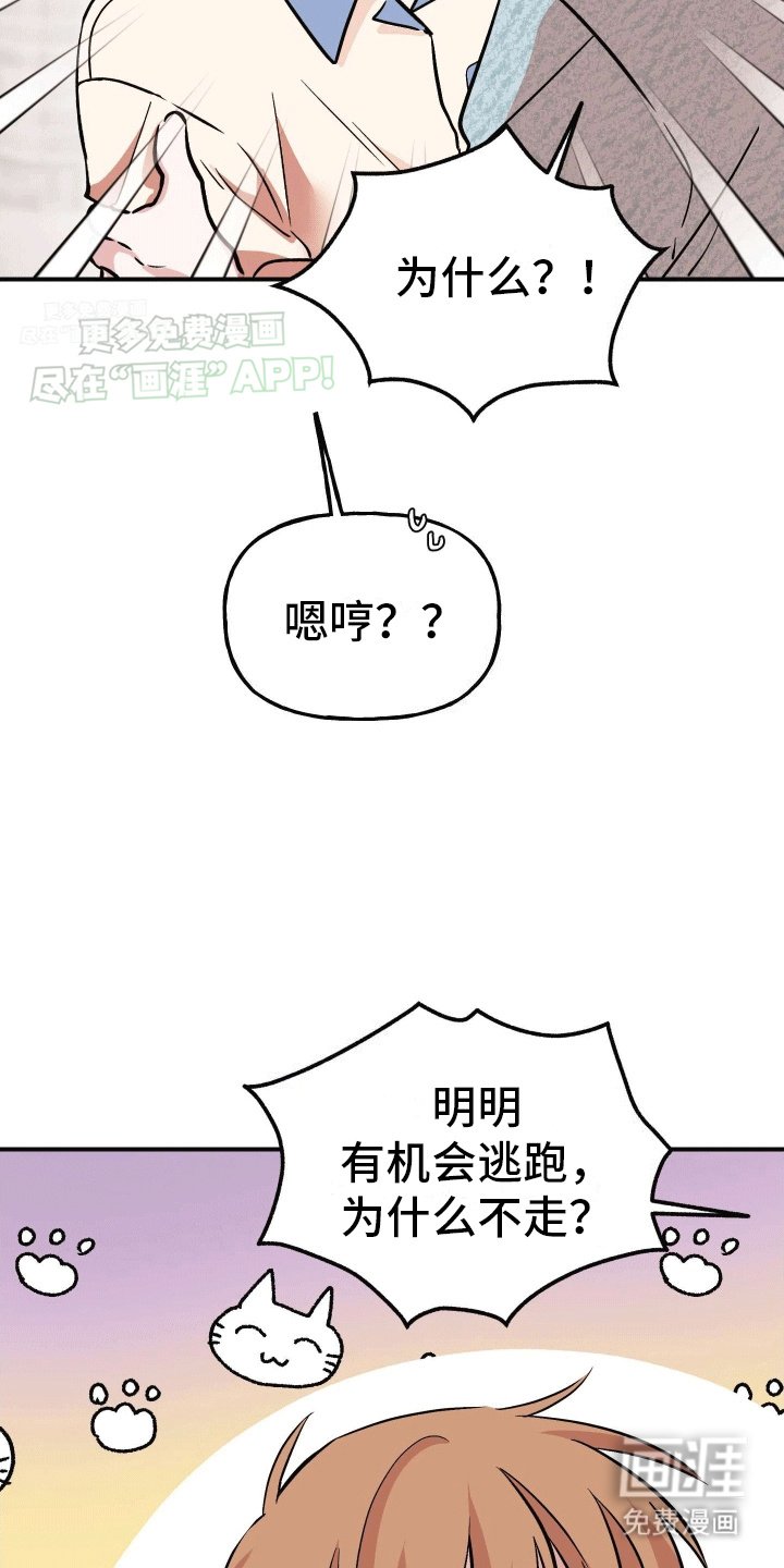 第13章：明确心意