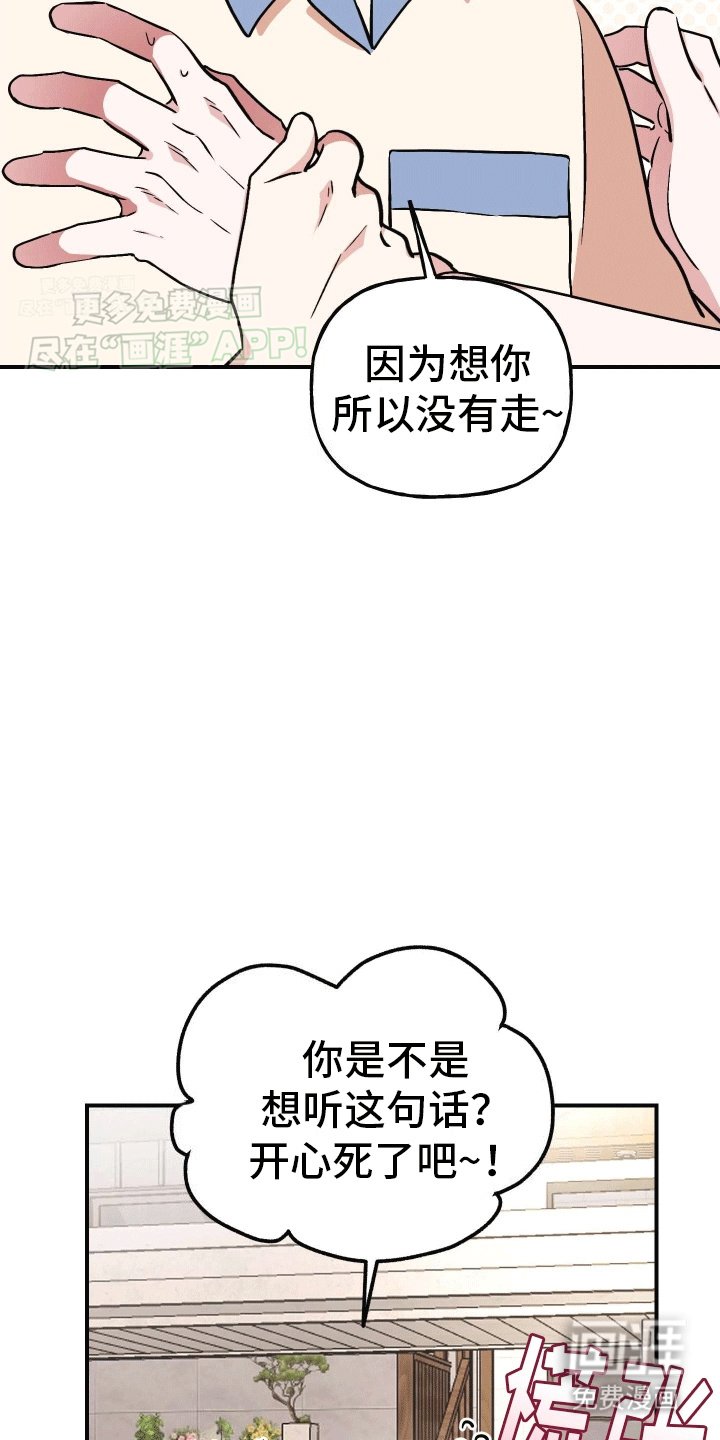 第13章：明确心意