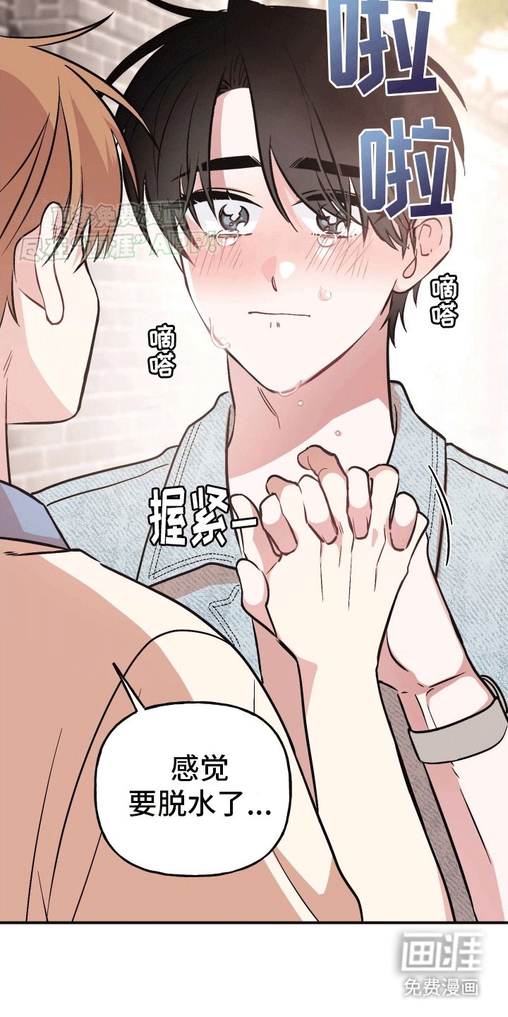 第13章：明确心意