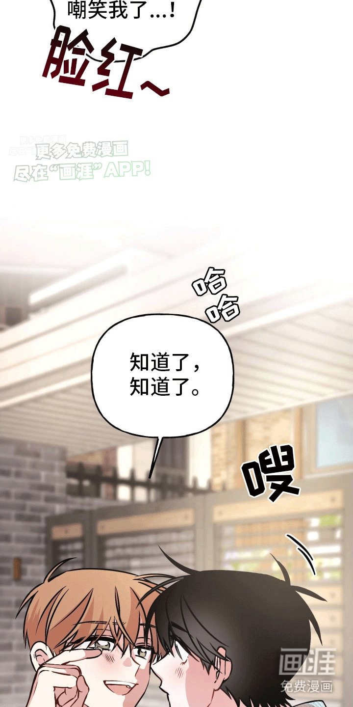 第13章：明确心意