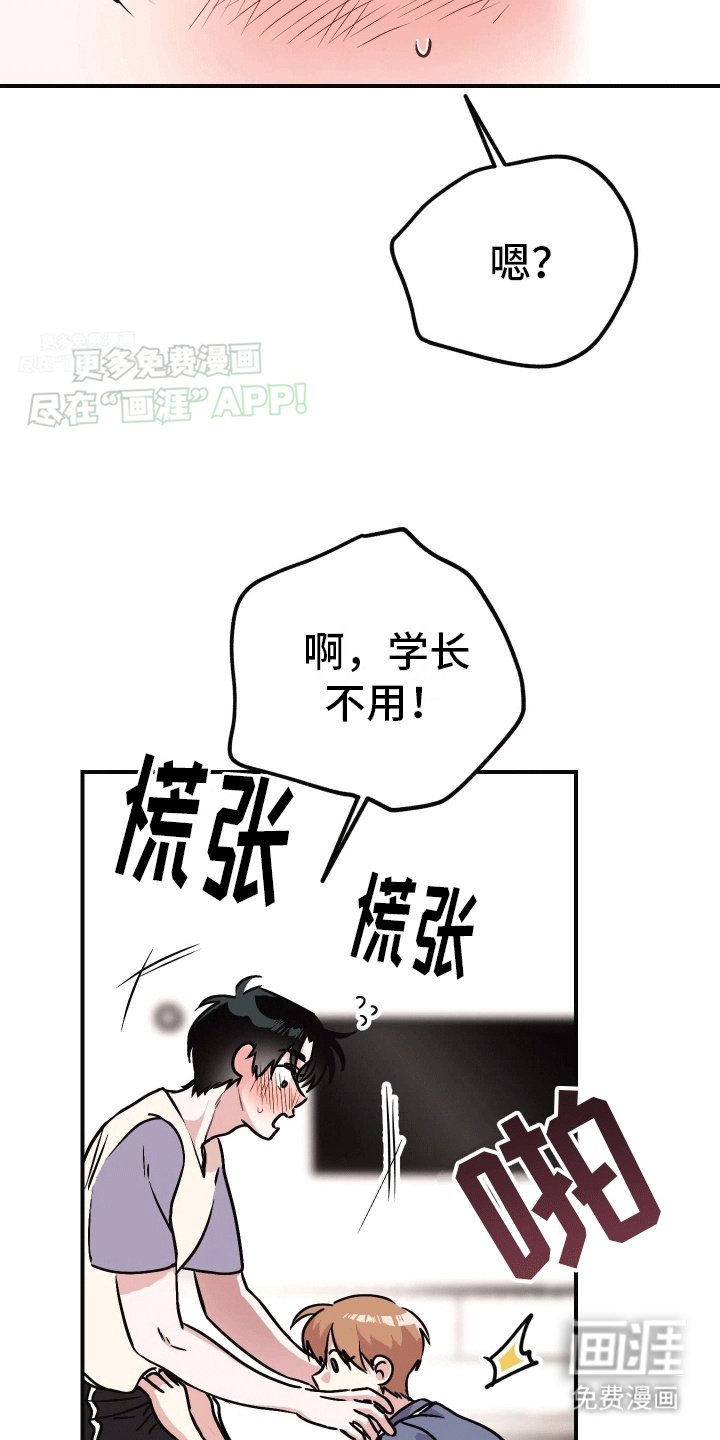 第4章：互相帮助