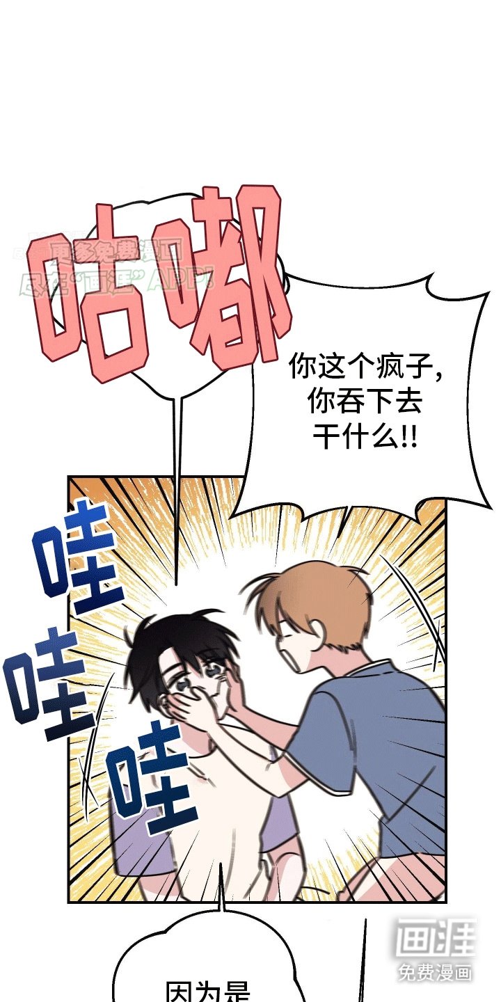 第4章：互相帮助