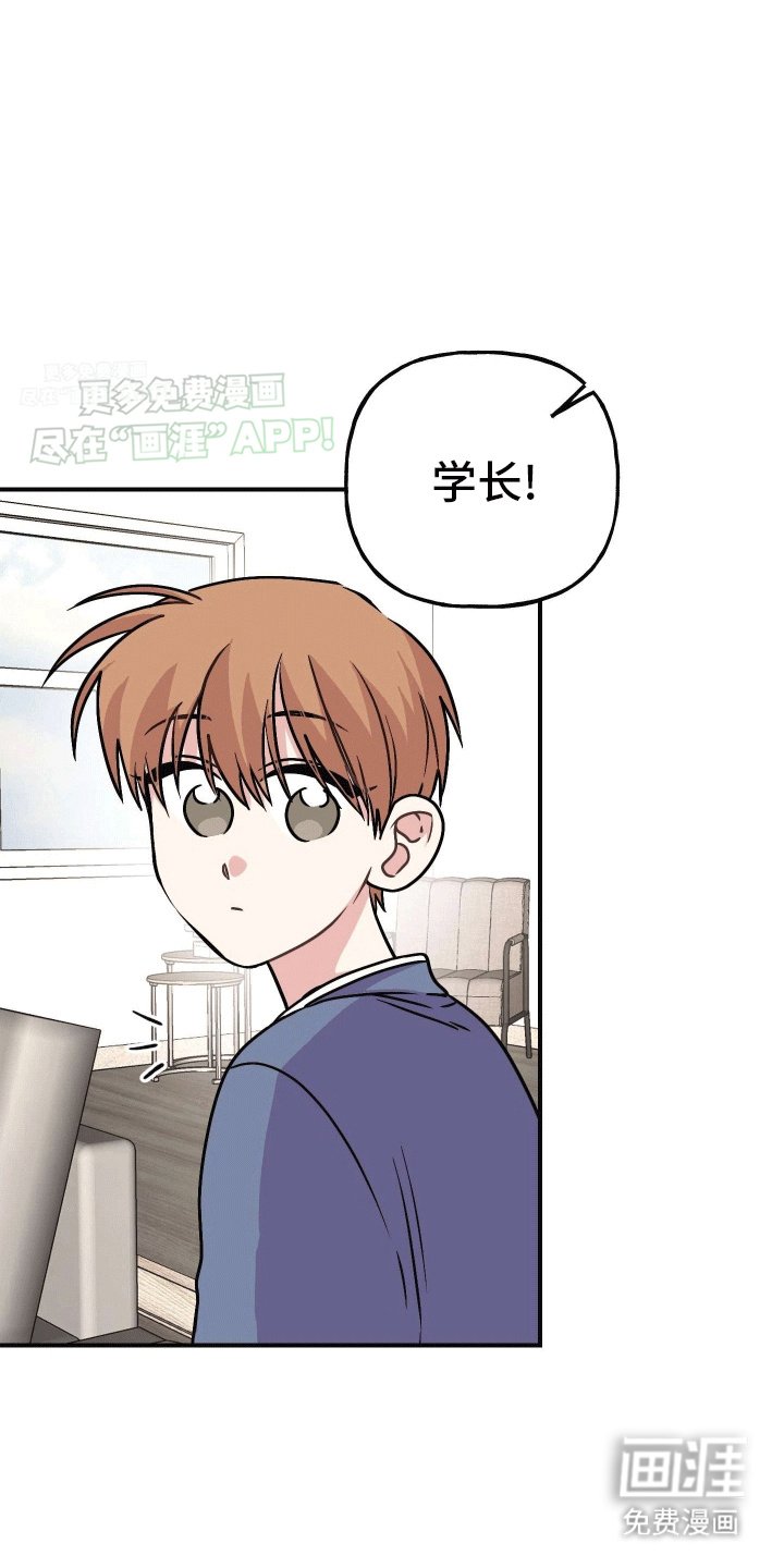 第4章：互相帮助