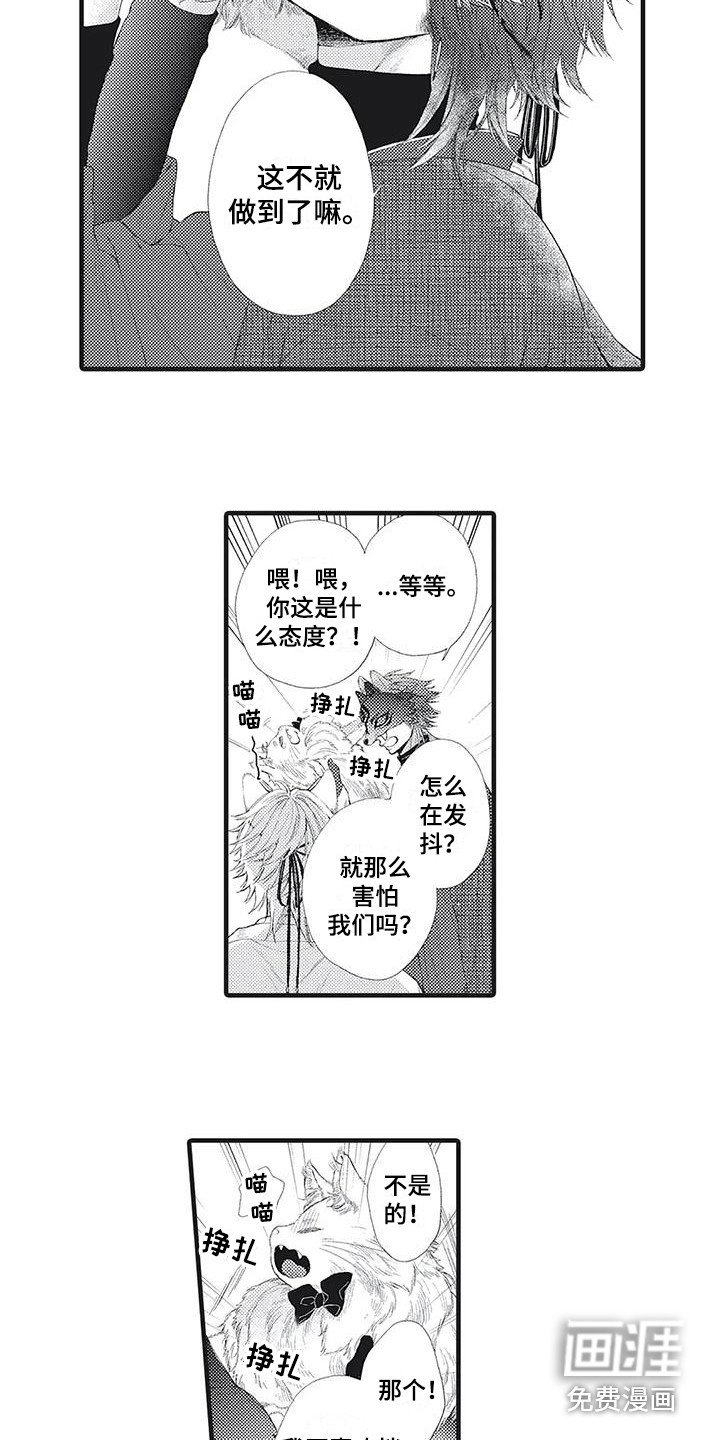第11章：面具之下