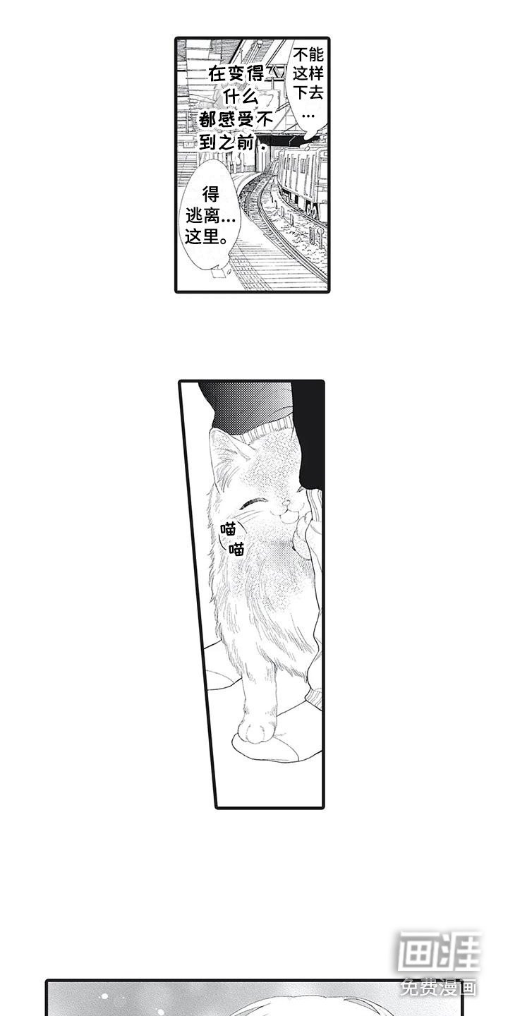 第11章：面具之下