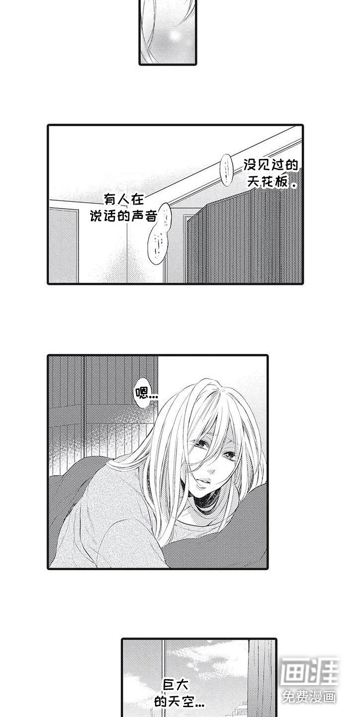 第14章：照顾