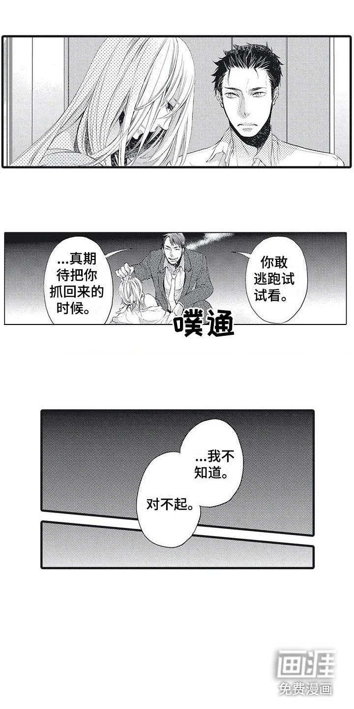第15章：隐约的记忆
