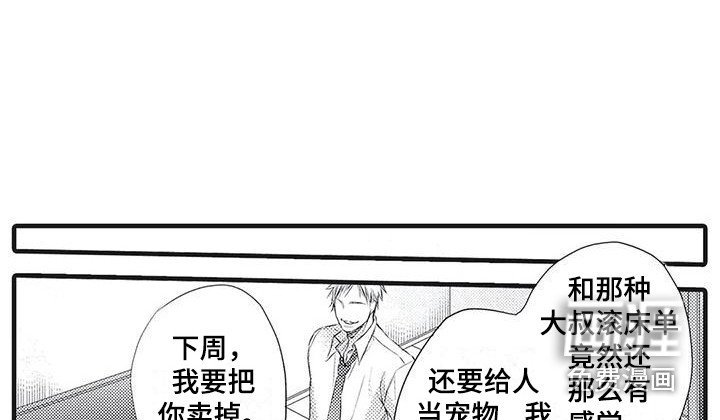 第19章：求助