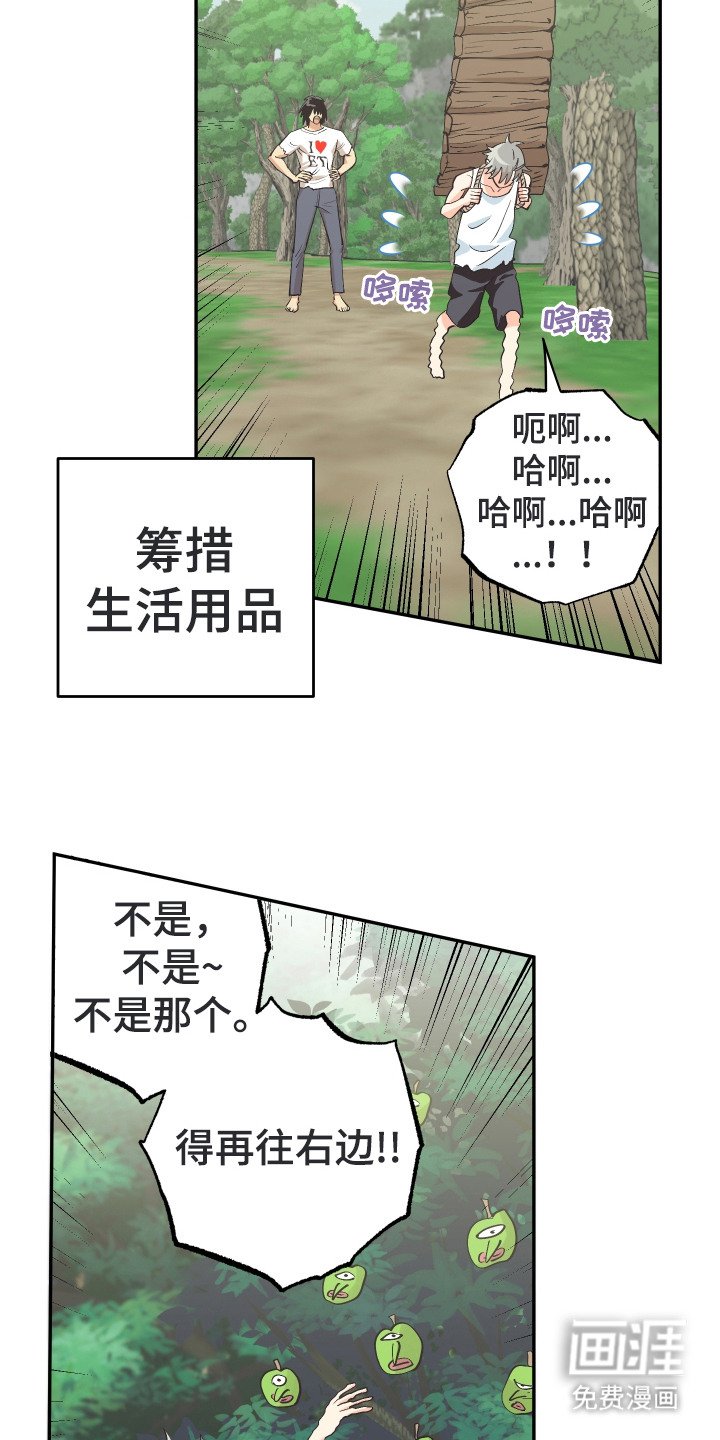 第13章：荒野求生