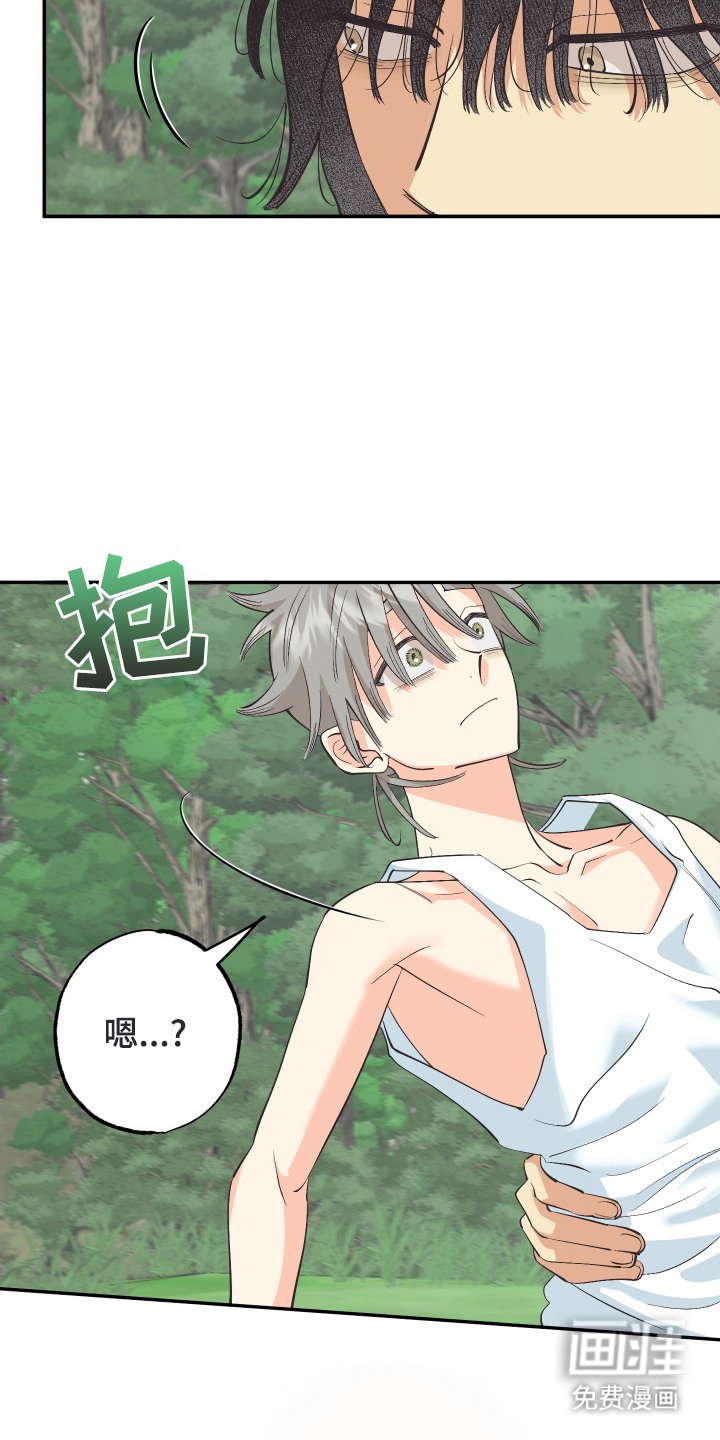 第13章：荒野求生