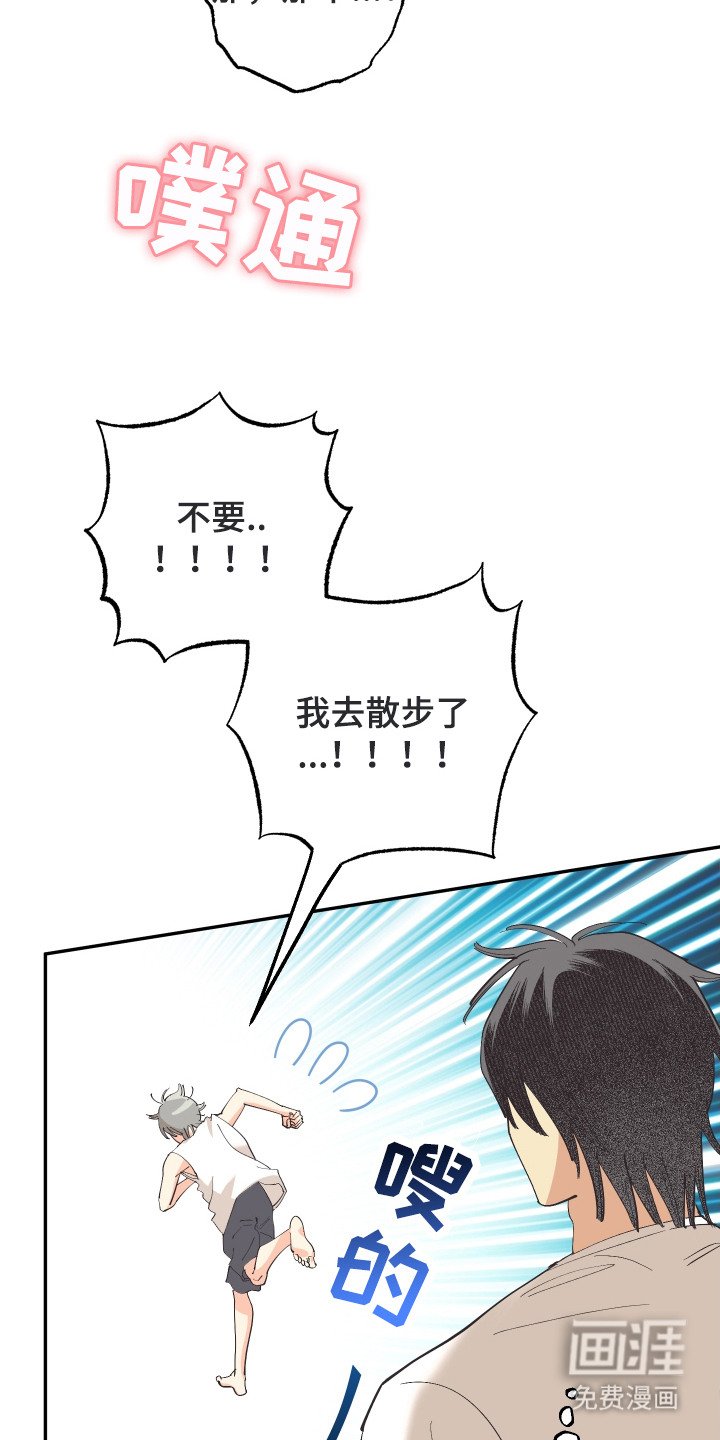 第13章：荒野求生