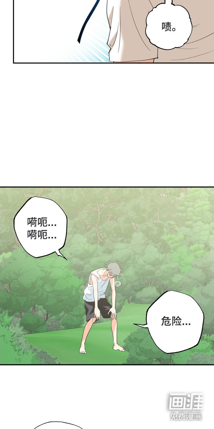 第13章：荒野求生